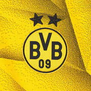 Borussia Dortmund 23/24 Home Alternate Kit